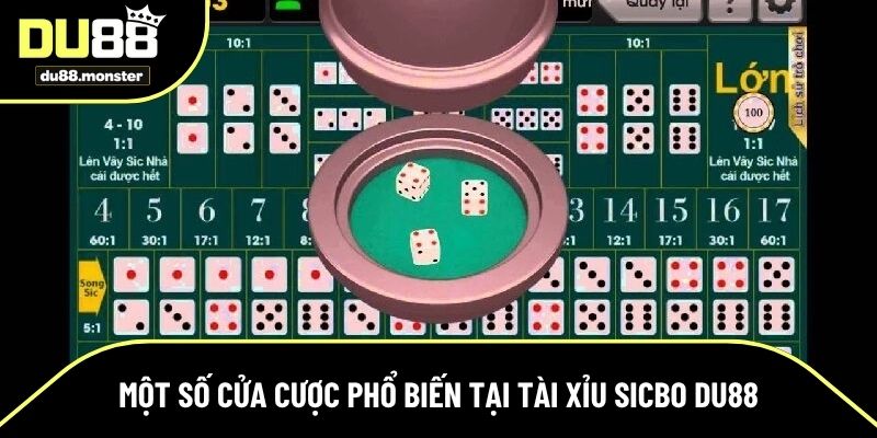 Một số cửa cược thường gặp tại game sicbo Du88